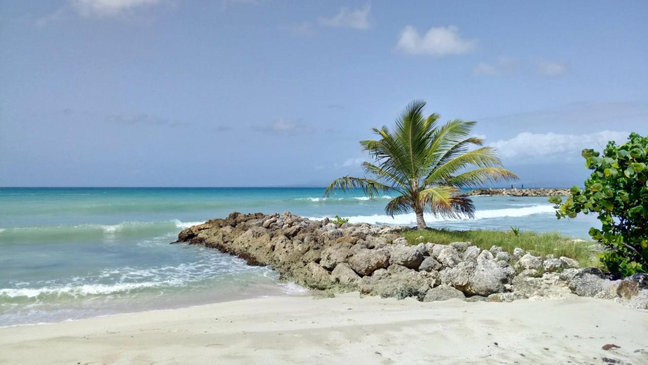 Economique Les Pieds Dans L'eau * Le Gosier (Grande-Terre)