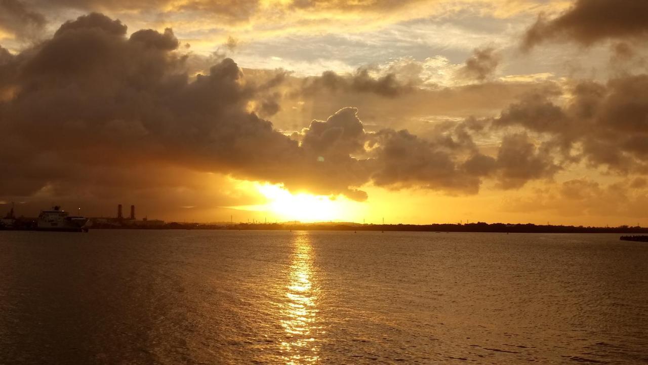 Economique Les Pieds Dans L'eau Appartement Le Gosier (Grande-Terre)